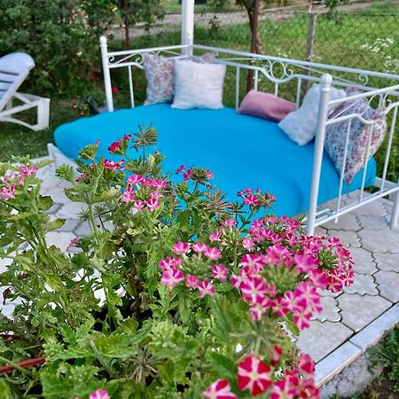White House With Sauna And Jacuzzi Нови Сад Екстериор снимка