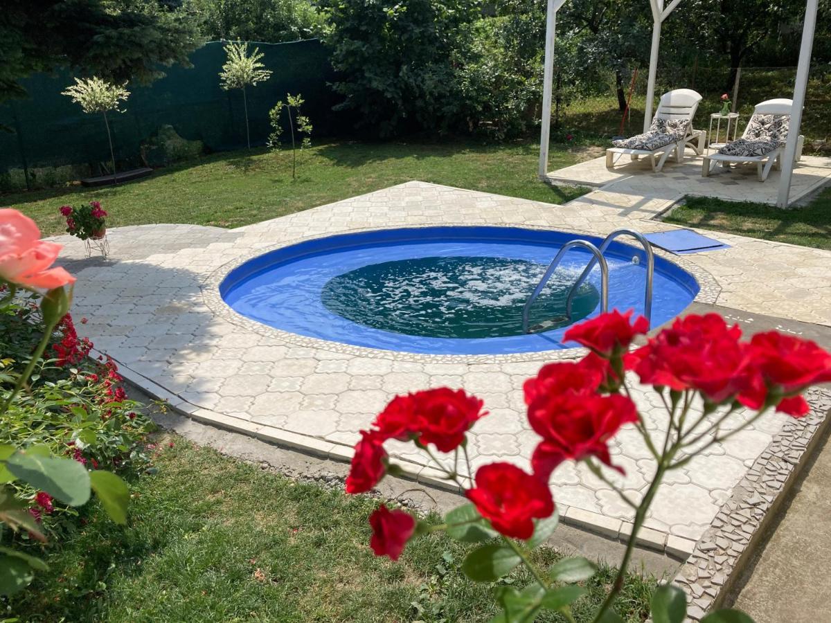 White House With Sauna And Jacuzzi Нови Сад Екстериор снимка